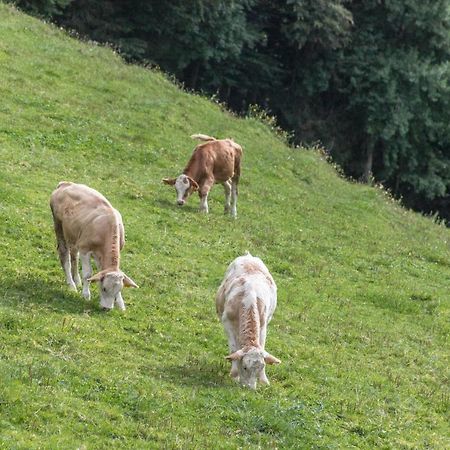 Ferienwohnung Oberrissglueck Schliersee Esterno foto