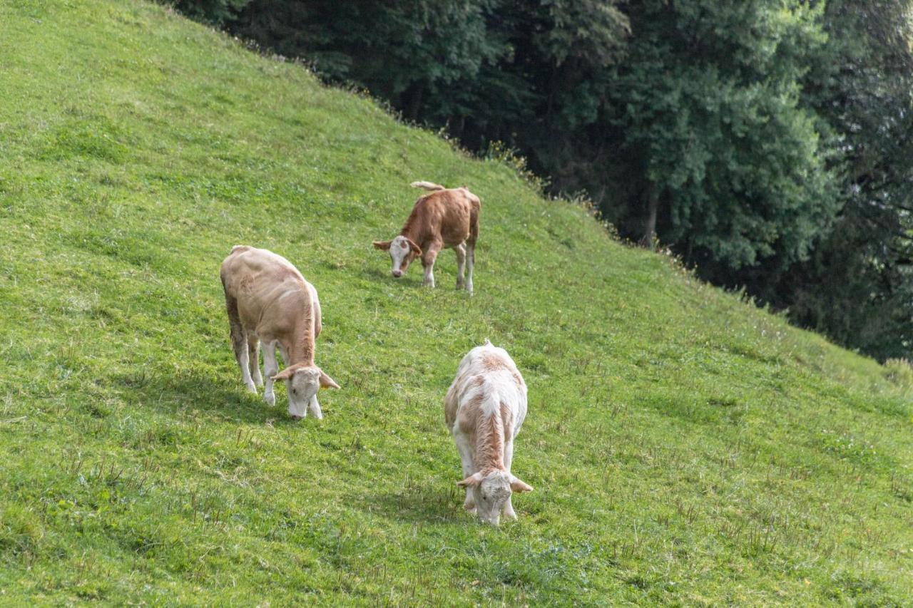 Ferienwohnung Oberrissglueck Schliersee Esterno foto